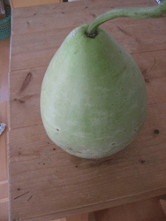 f0082772_16465129.gif
