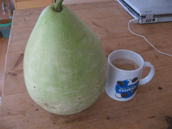 f0082772_16471489.gif