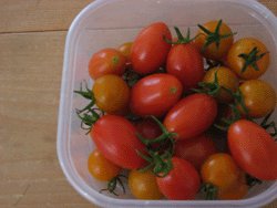 f0082772_16502094.gif