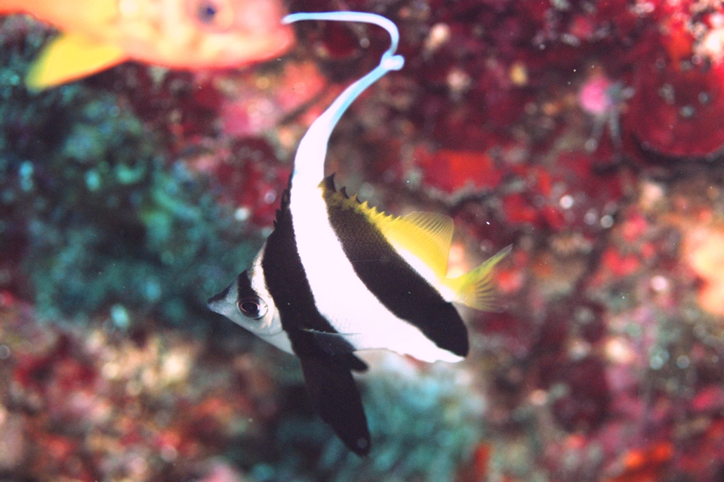 c0181073_6514434.jpg