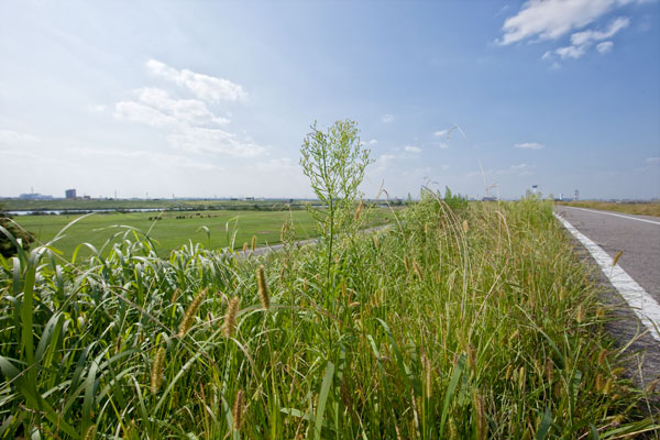d0089281_23435131.jpg