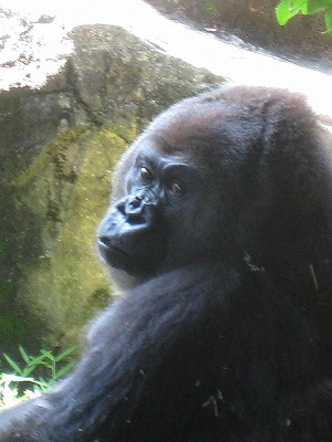 a0038882_95886.jpg