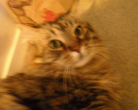 c0063182_12475327.jpg