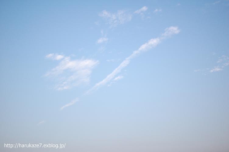 e0148083_20225367.jpg