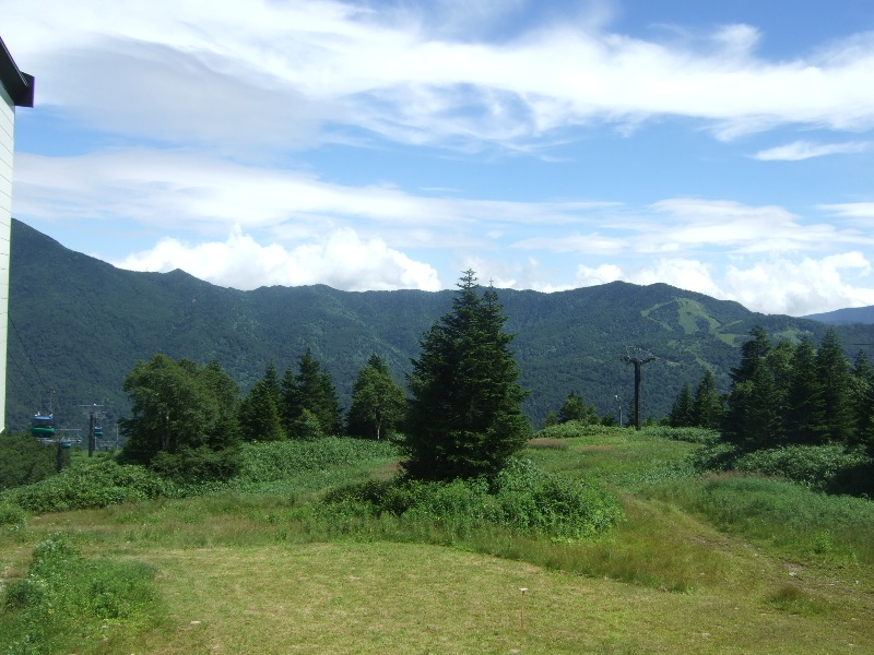 f0063791_14161935.jpg