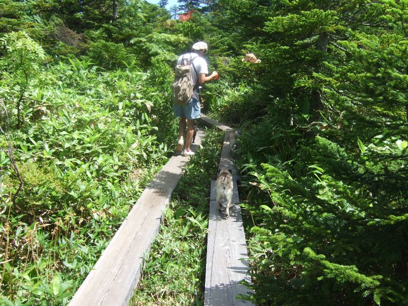 f0063791_14241735.jpg