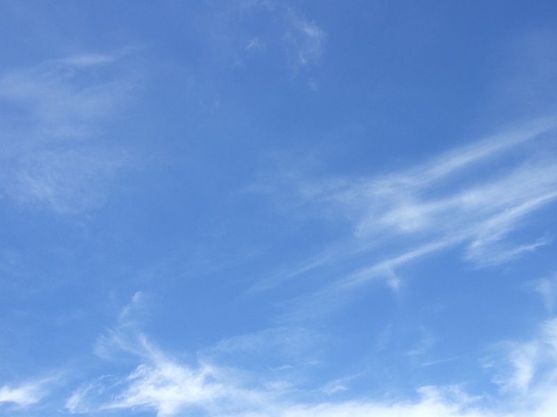 f0063791_14255999.jpg