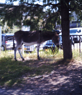 d0100192_22503361.gif