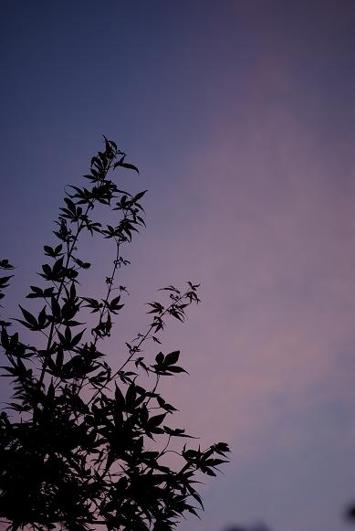 c0207596_22494856.jpg