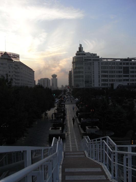 e0064400_6555066.jpg