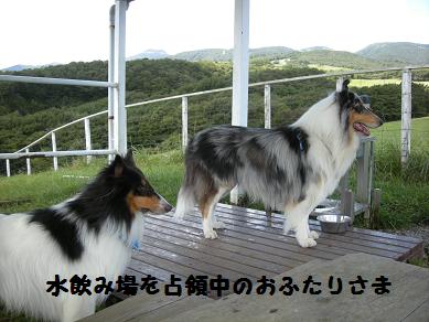 f0081100_22495774.jpg