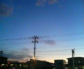 d0149105_750491.jpg