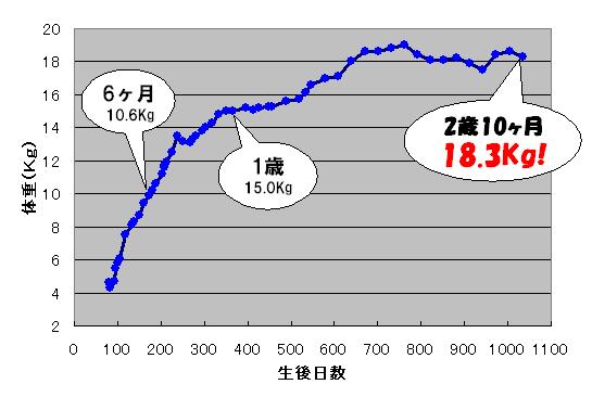 c0113109_22315342.jpg