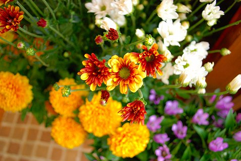 e0128909_20112775.jpg