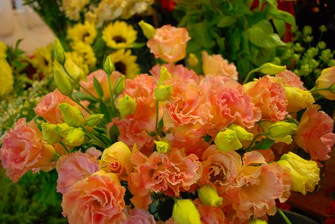 e0128909_20133762.jpg