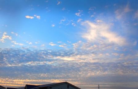 c0186410_616717.jpg