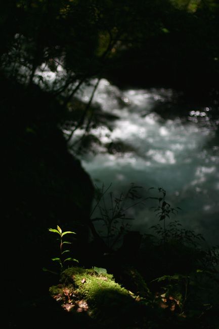 f0129510_9484370.jpg