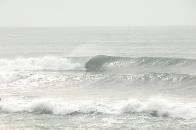 f0116314_2059145.jpg