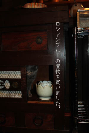e0156015_2228378.jpg