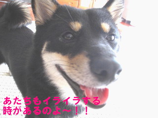 c0185516_00548.jpg
