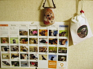 f0192117_22233680.jpg
