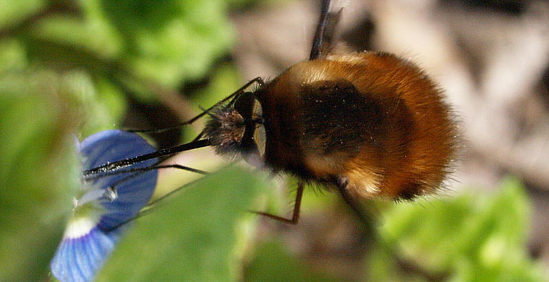 f0181821_10282077.jpg