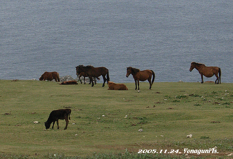 f0181821_11261184.jpg