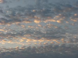 e0156222_2141556.jpg