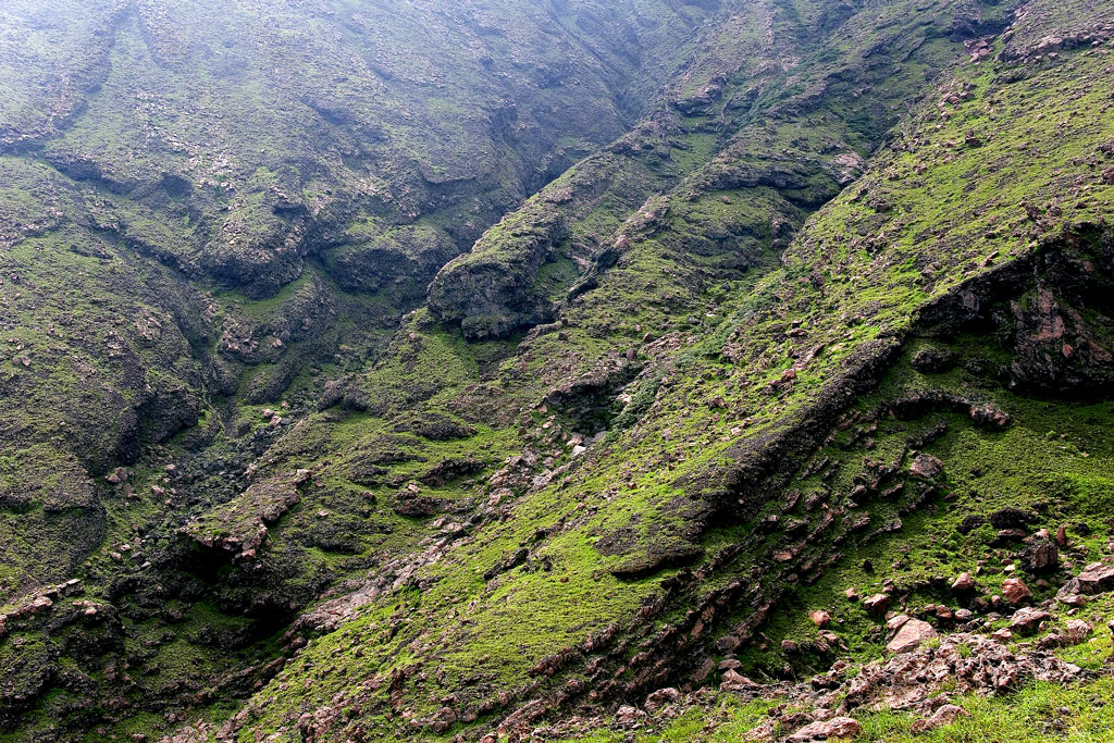d0136836_10261947.jpg
