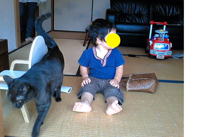 f0104038_2053028.gif