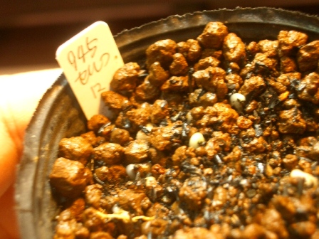 c0025140_21271170.jpg