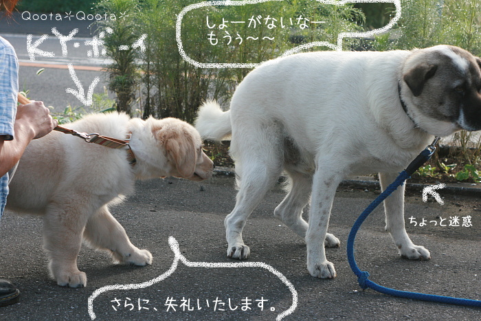 a0116048_162458.jpg