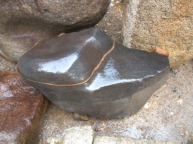 e0126548_826677.jpg