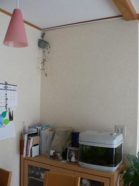 c0108853_10574323.jpg