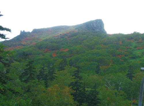 c0097856_037545.jpg