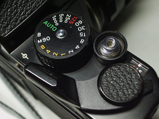 d0100156_2049287.jpg