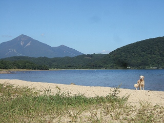 c0097558_11234785.jpg