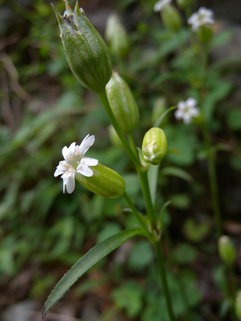 b0104861_2035881.jpg