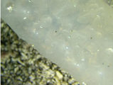 697b6a84.jpg