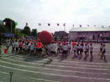 0899d1cf.jpg