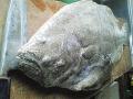 200709251258000.jpg