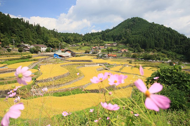 d0128465_15504299.jpg