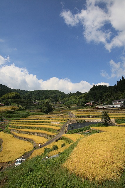 d0128465_15534451.jpg