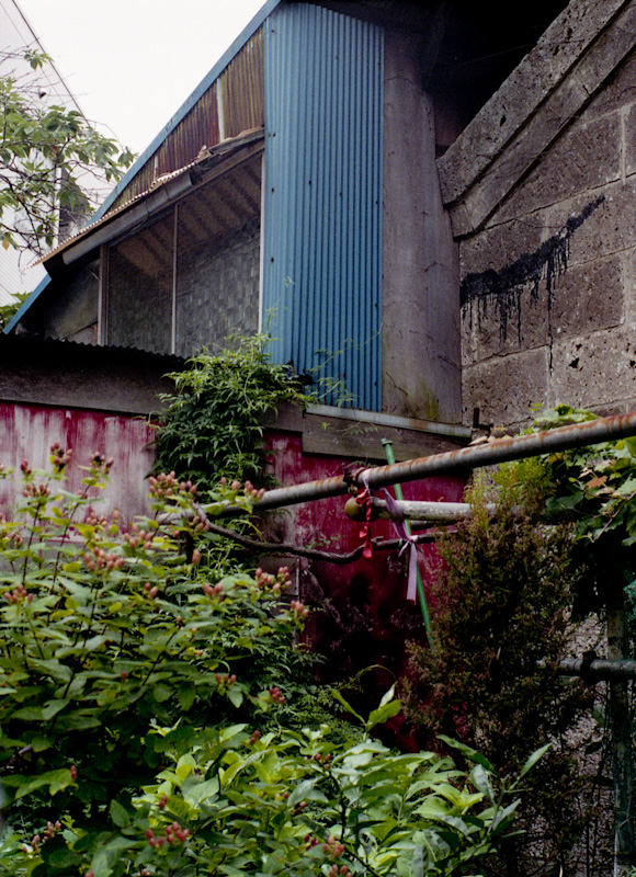 c0084666_23461470.jpg