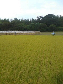 f0061067_22395442.jpg