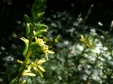 c0042869_19224143.jpg