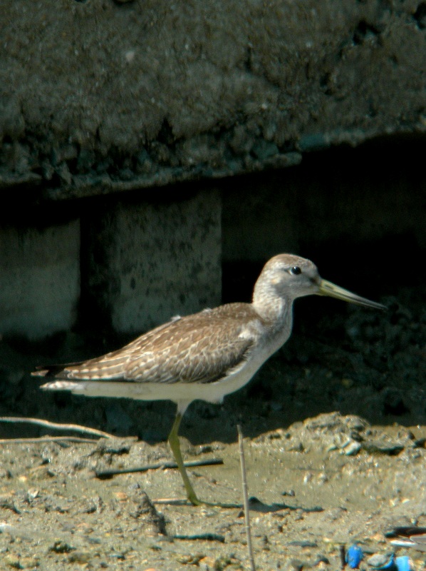 f0137673_1824189.jpg