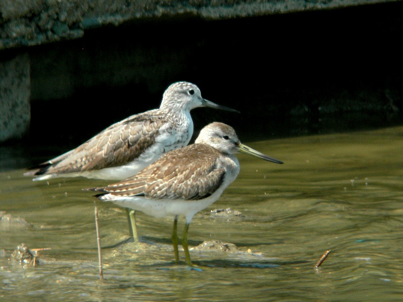 f0137673_1831782.jpg
