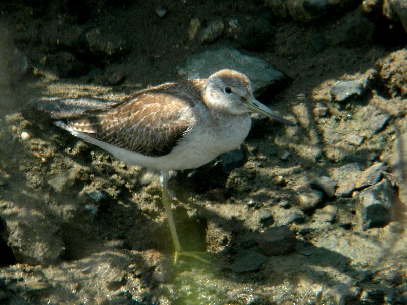 f0137673_1843056.jpg