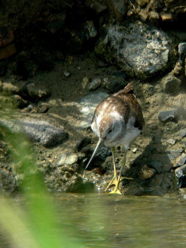 f0137673_1845523.jpg